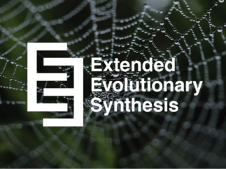 Extended Evolutionary Synthesis logo