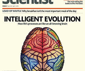 New Scientist magazine front cover