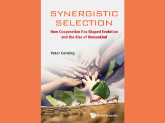 Synergistic Selection book front cover