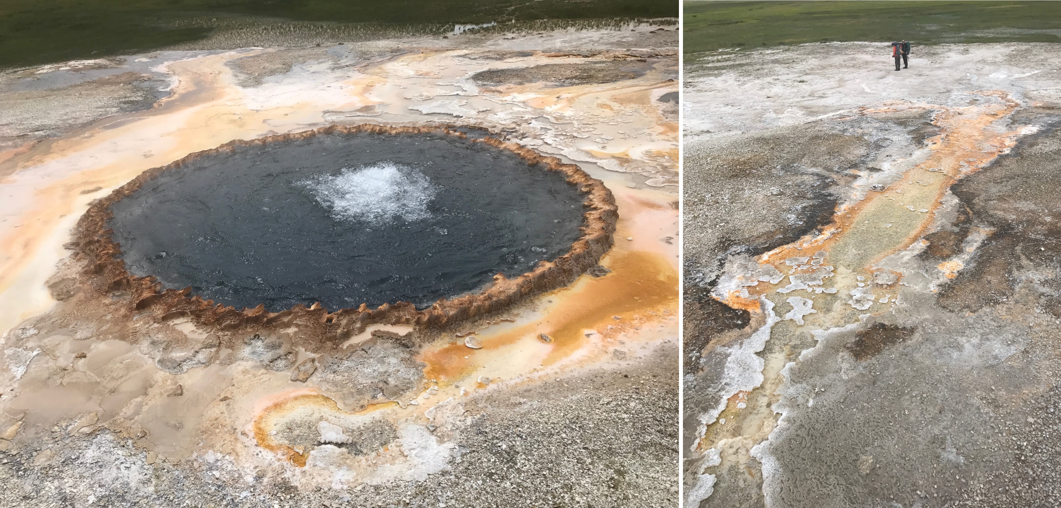 hot spring environments in Yellowstone National Park