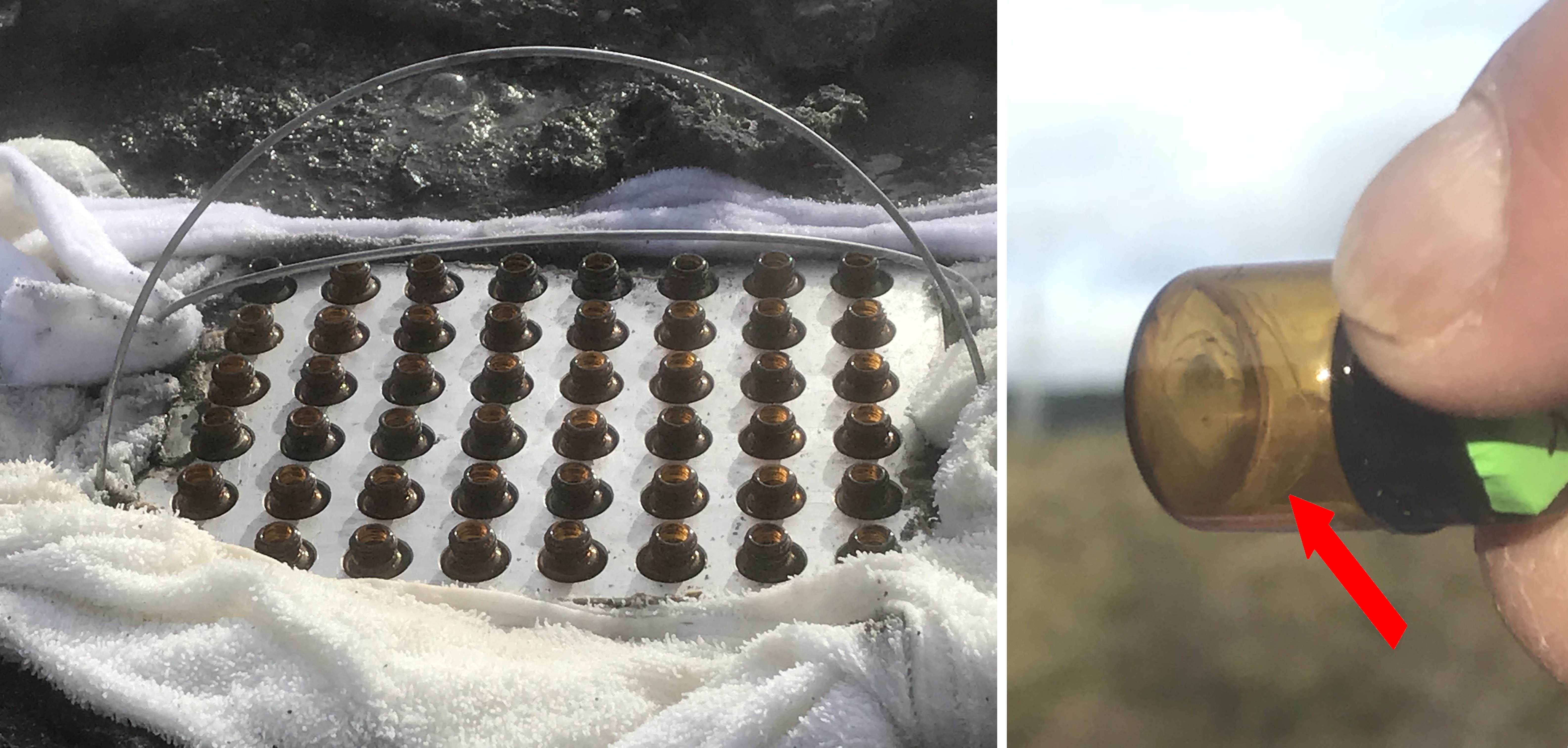 experimental vials in a plate in the hot spring